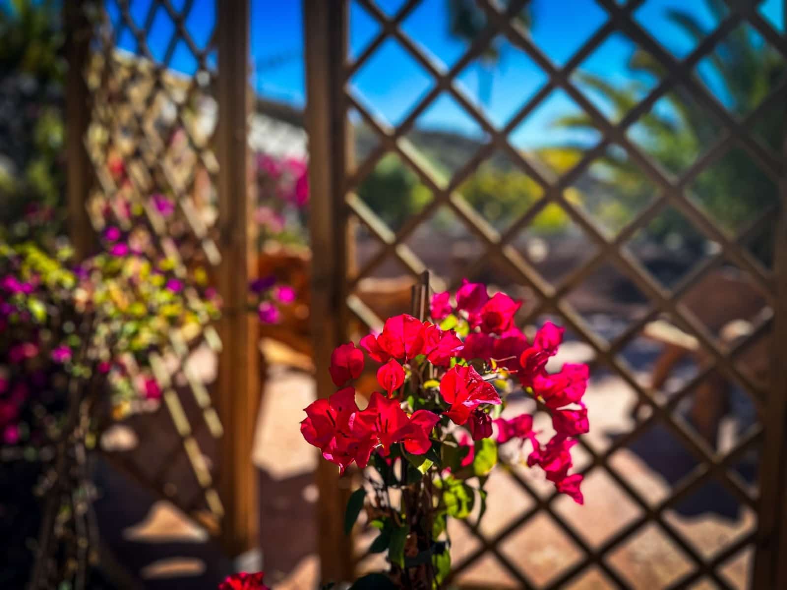 3 soverom Finca/Herregård til salgs i Chio med svømmebasseng garasje - € 1 320 000 (Ref: 9471850)