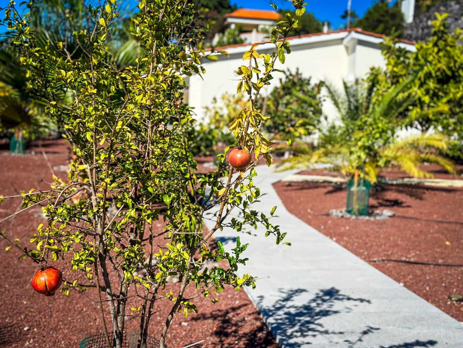 3 soverom Finca/Herregård til salgs i Chio med svømmebasseng garasje - € 1 320 000 (Ref: 9471850)