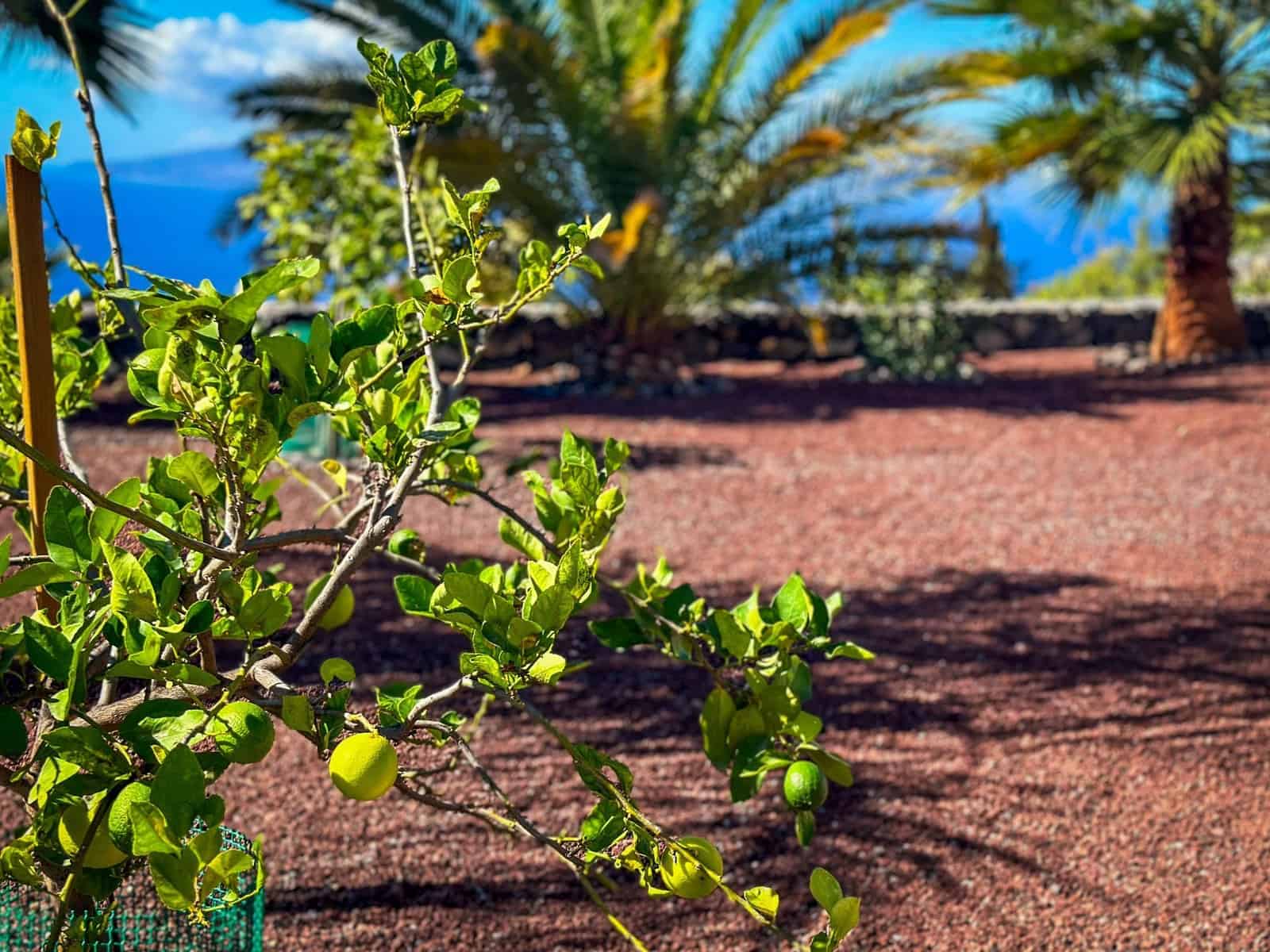 3 soverom Finca/Herregård til salgs i Chio med svømmebasseng garasje - € 1 320 000 (Ref: 9471850)