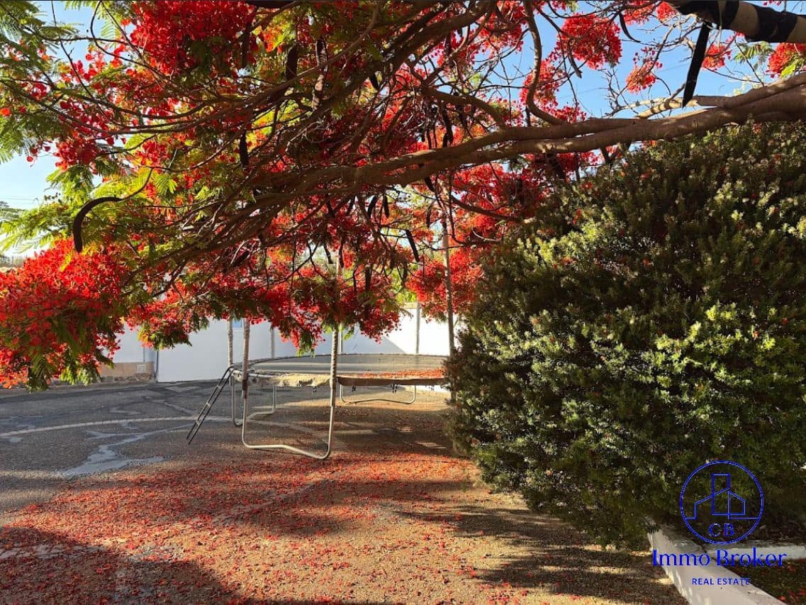 5 bedroom Finca/Country House for sale in Playa San Juan with garage - € 977,000 (Ref: 9471852)