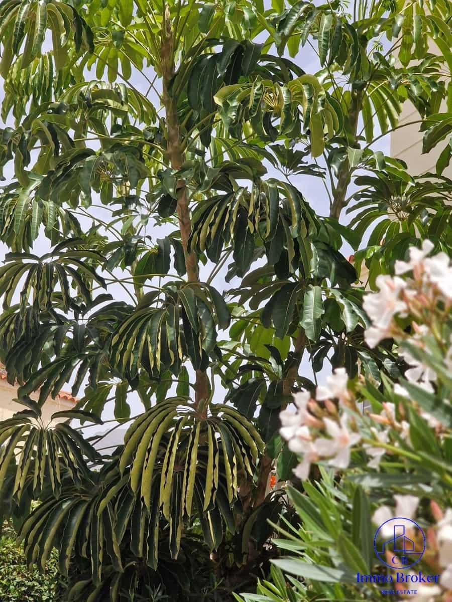 1 slaapkamer Flat te koop in Costa Adeje met zwembad - € 318.000 (Ref: 9788009)