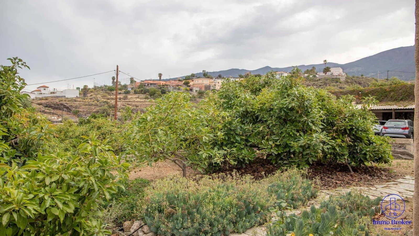 4 bedroom Villa for sale in Arafo with pool garage - € 990,000 (Ref: 9790292)