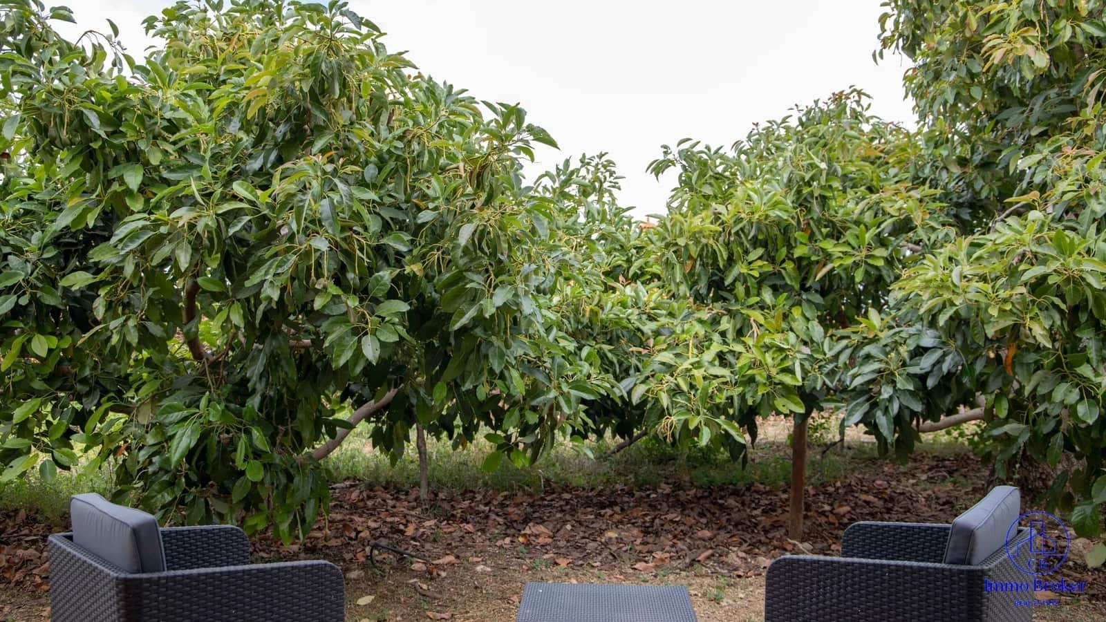 4 bedroom Villa for sale in Arafo with pool garage - € 990,000 (Ref: 9790292)