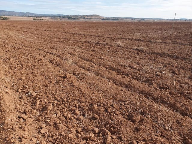 Undeveloped Land for sale in Crevillente / Crevillent - € 685,000 (Ref: 9494947)