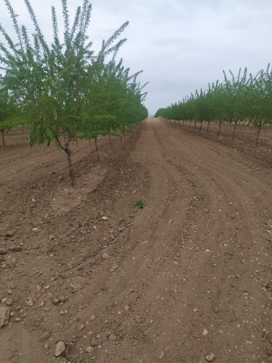 Finca/Landgut zu verkaufen in Albacete Stadt - 20.000.000 € (Ref: 9494948)