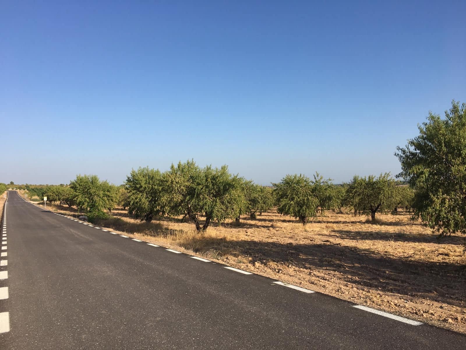 Finca/Landgut zu verkaufen in Albacete Stadt - 20.000.000 € (Ref: 9494948)