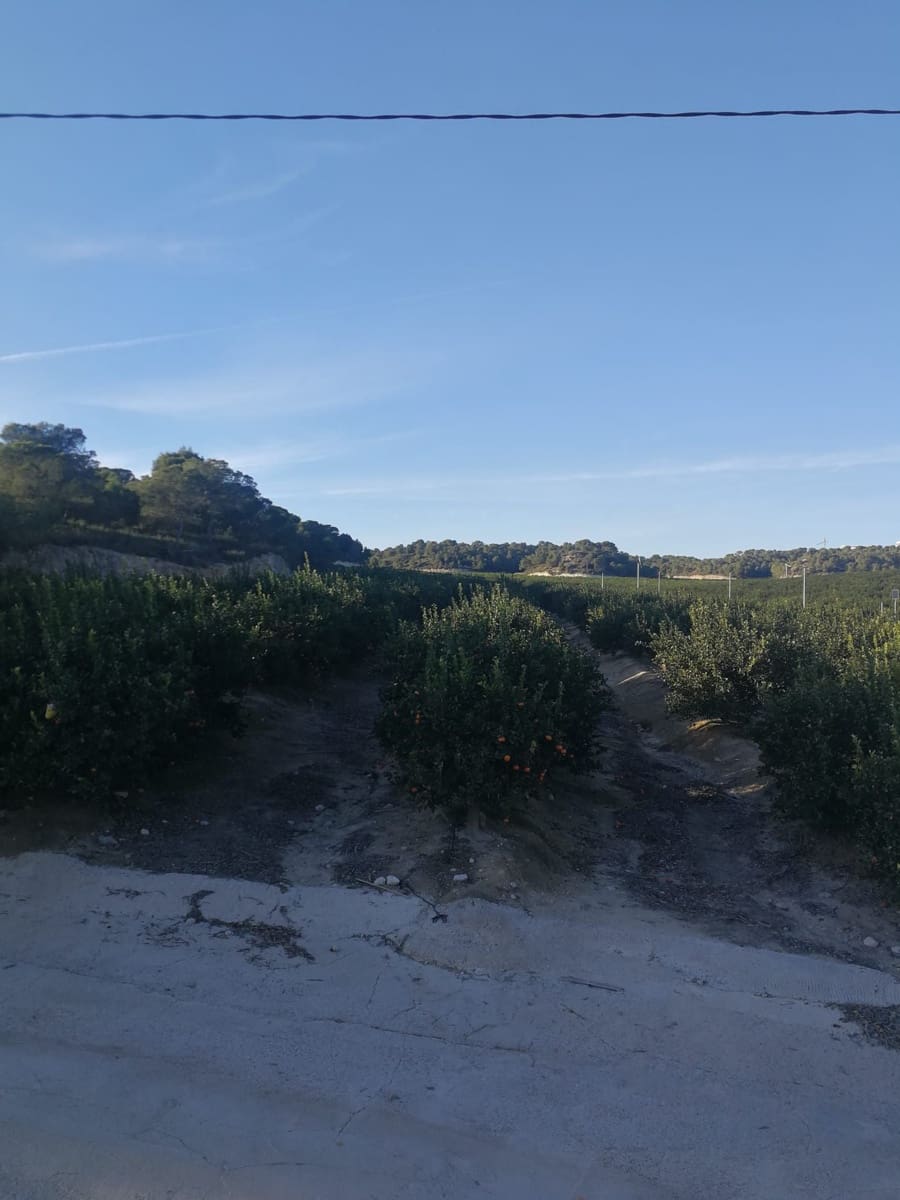 Finca/Landehus til salg i Murcia by - € 25.000.000 (Ref: 9494949)