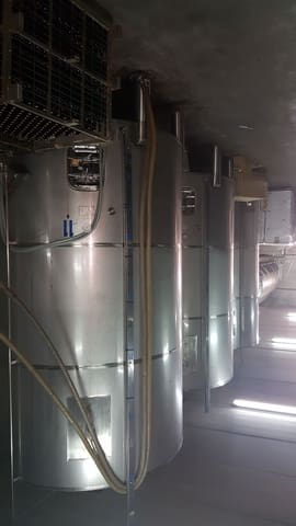 Business for sale in Villarrobledo - € 10,500,000 (Ref: 9494950)