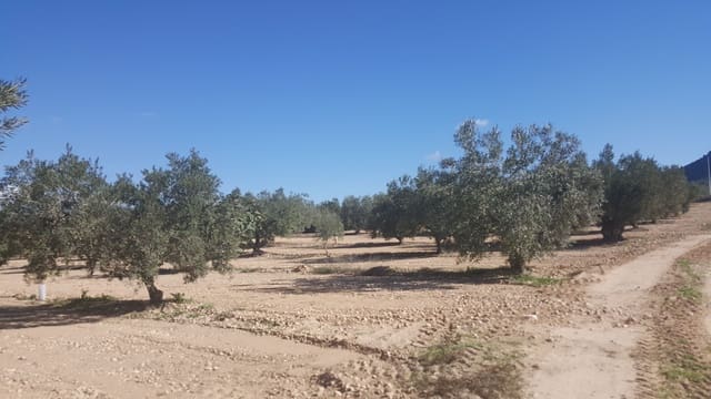 Finca/Landehus til salg i Villena - € 450.000 (Ref: 9494952)