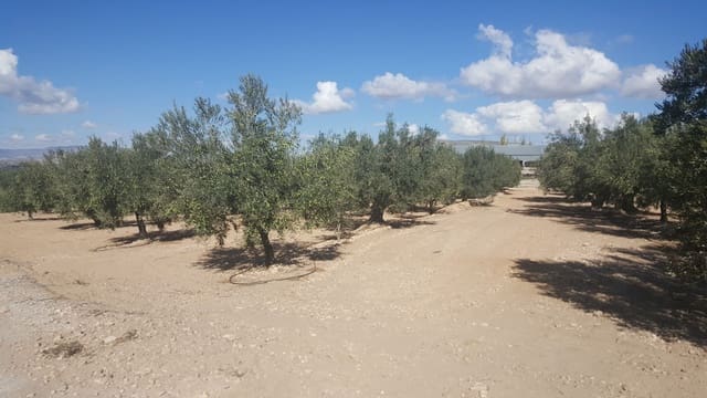 Finca/Landehus til salg i Villena - € 450.000 (Ref: 9494952)