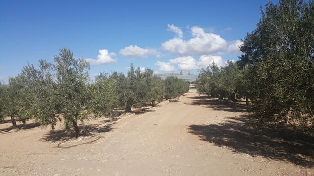 Finca/Landehus til salg i Villena - € 450.000 (Ref: 9494952)