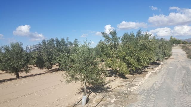 Finca/Landehus til salg i Villena - € 450.000 (Ref: 9494952)