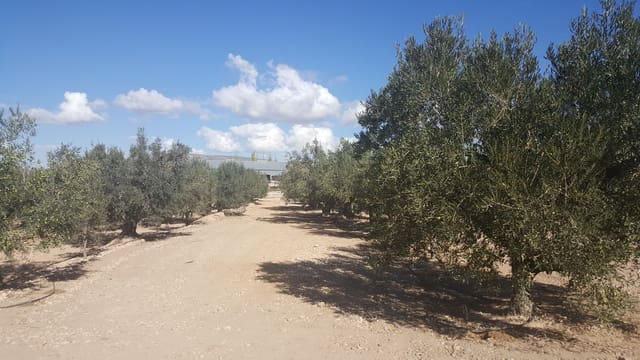 Finca/Landehus til salg i Villena - € 450.000 (Ref: 9494952)