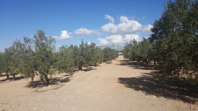 Finca/Landehus til salg i Villena - € 450.000 (Ref: 9494952)