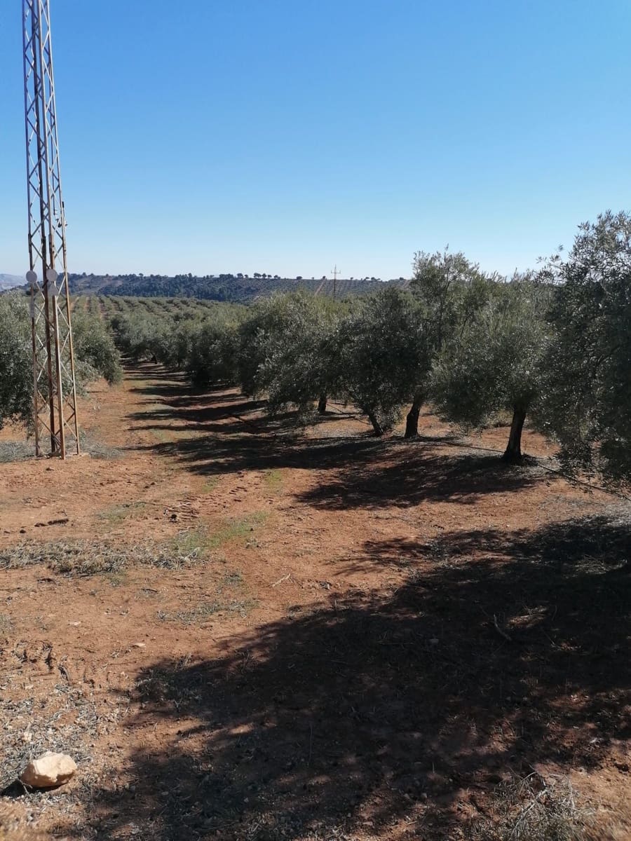 Finca/Country House for sale in Ubeda - € 40,000 (Ref: 9494953)