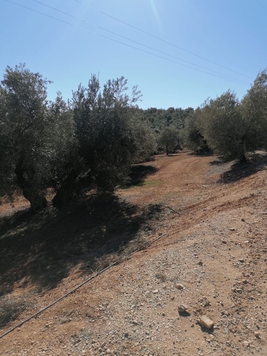 Finca/Country House for sale in Ubeda - € 40,000 (Ref: 9494953)