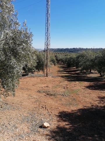 Finca/Casa Rural en Ubeda en venta - 40.000 € (Ref: 9494953)