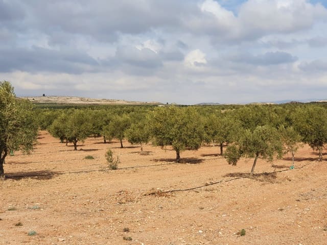 Quinta/Casa Rural para venda em Yecla - 6 500 000 € (Ref: 9494954)