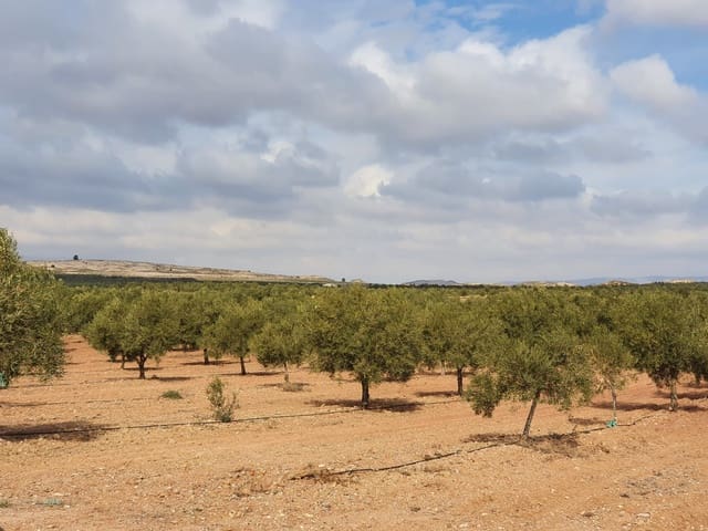 Quinta/Casa Rural para venda em Yecla - 6 500 000 € (Ref: 9494954)