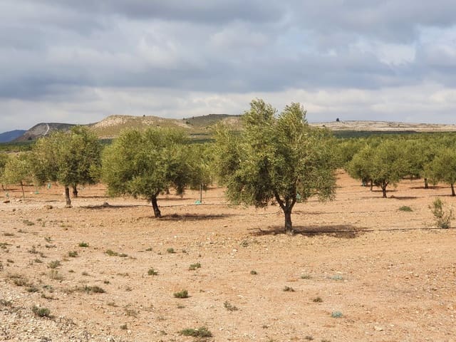 Quinta/Casa Rural para venda em Yecla - 6 500 000 € (Ref: 9494954)