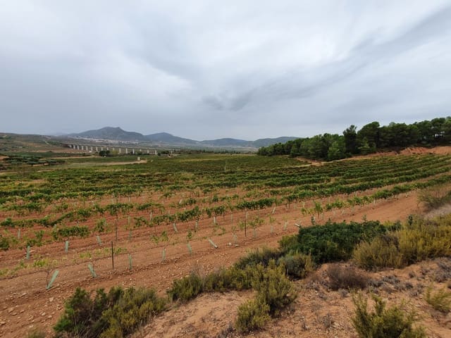 Finka/Dom wiejski na sprzedaż w Falset - 5 000 000 € (Ref: 9494955)