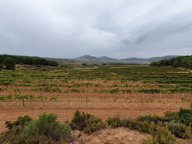 Finka/Dom wiejski na sprzedaż w Falset - 5 000 000 € (Ref: 9494955)