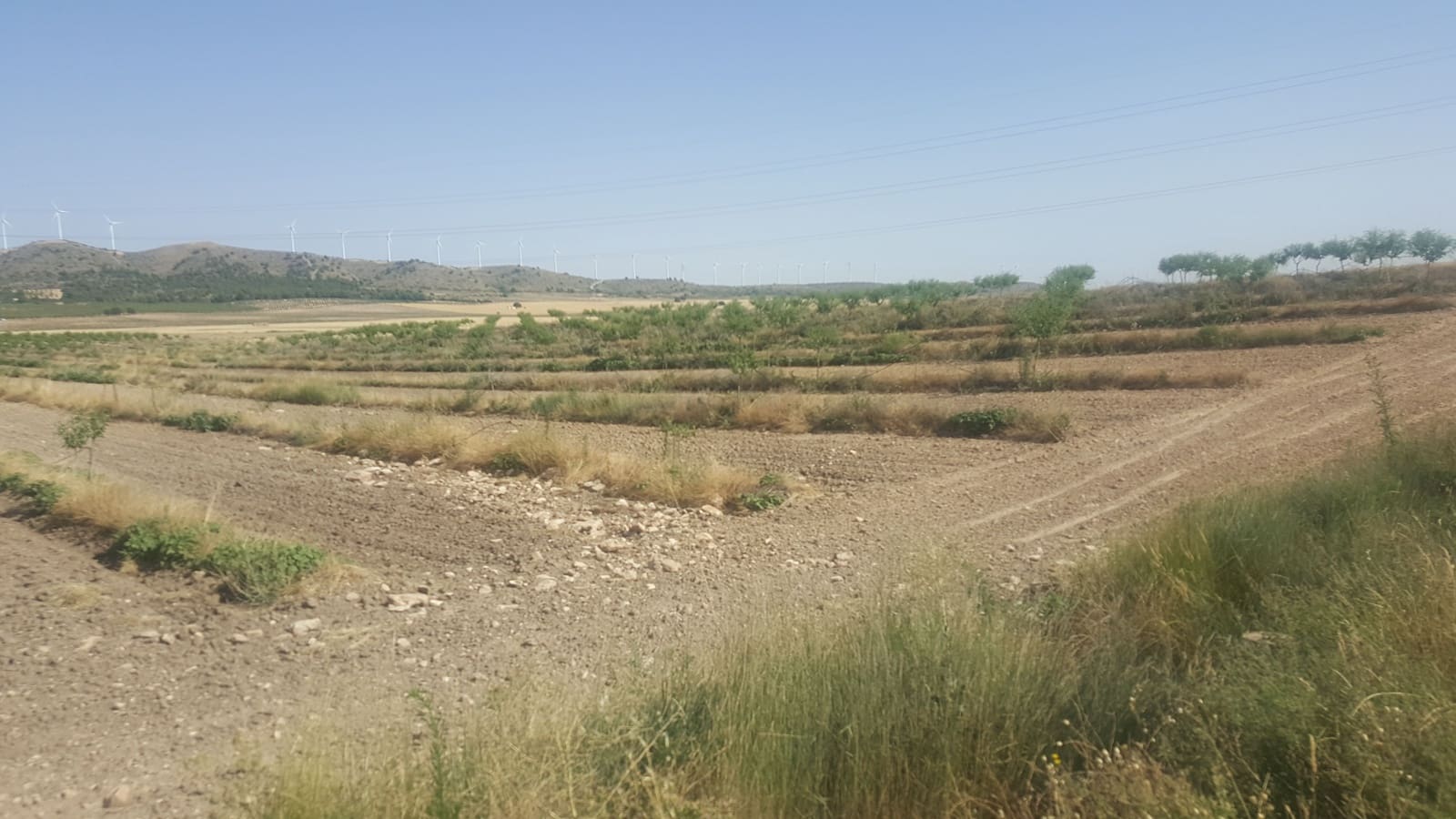 Finca/Landgut zu verkaufen in Pozo Canada - 11.000.000 € (Ref: 9494957)