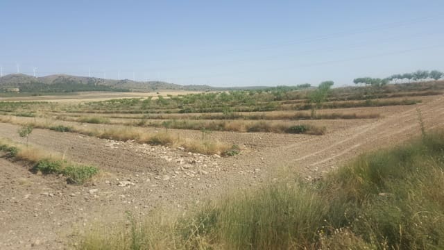 Finka/Dom wiejski na sprzedaż w Pozo Cañada - 11 000 000 € (Ref: 9494957)