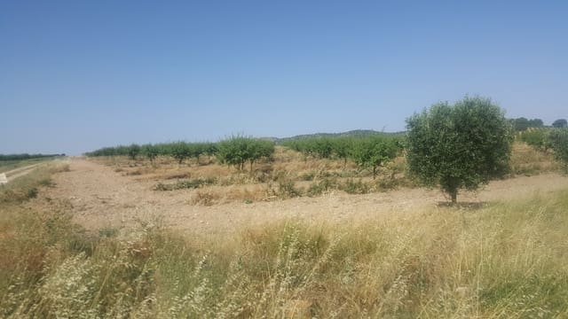 Finka/Dom wiejski na sprzedaż w Pozo Cañada - 11 000 000 € (Ref: 9494957)