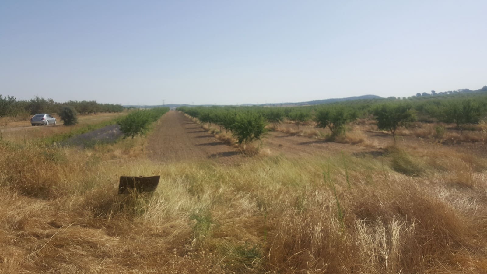 Finca/Landgut zu verkaufen in Pozo Canada - 11.000.000 € (Ref: 9494957)