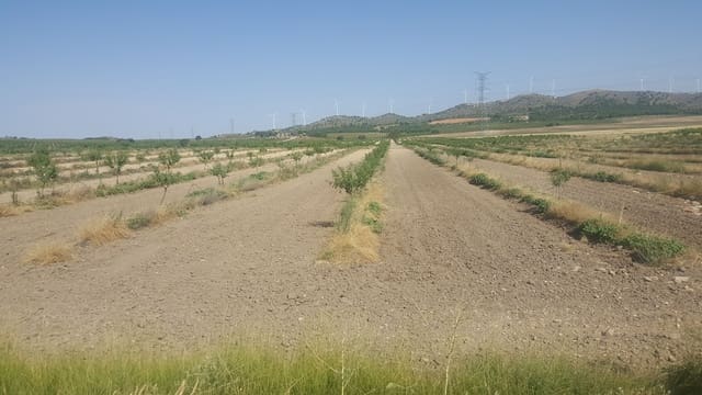 Finka/Dom wiejski na sprzedaż w Pozo Cañada - 11 000 000 € (Ref: 9494957)