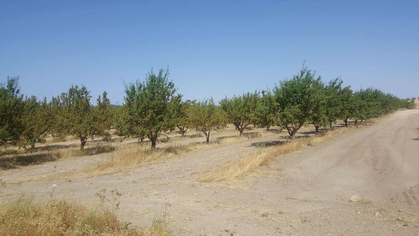 Finca/Landgut zu verkaufen in Pozo Canada - 11.000.000 € (Ref: 9494957)