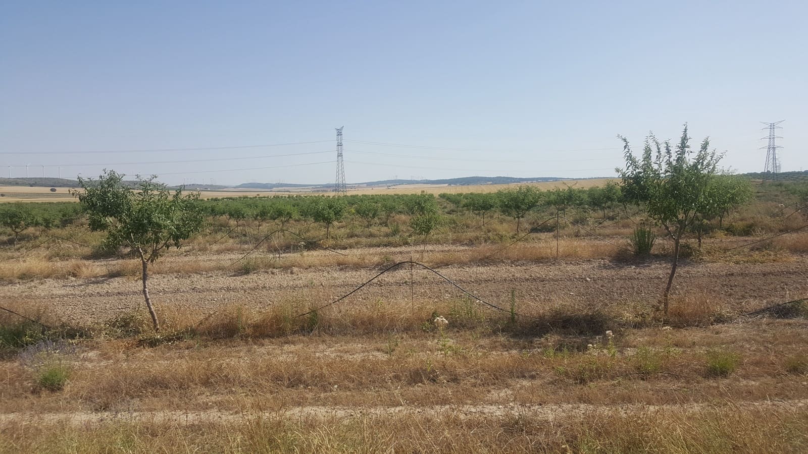 Finca/Landgut zu verkaufen in Pozo Canada - 11.000.000 € (Ref: 9494957)