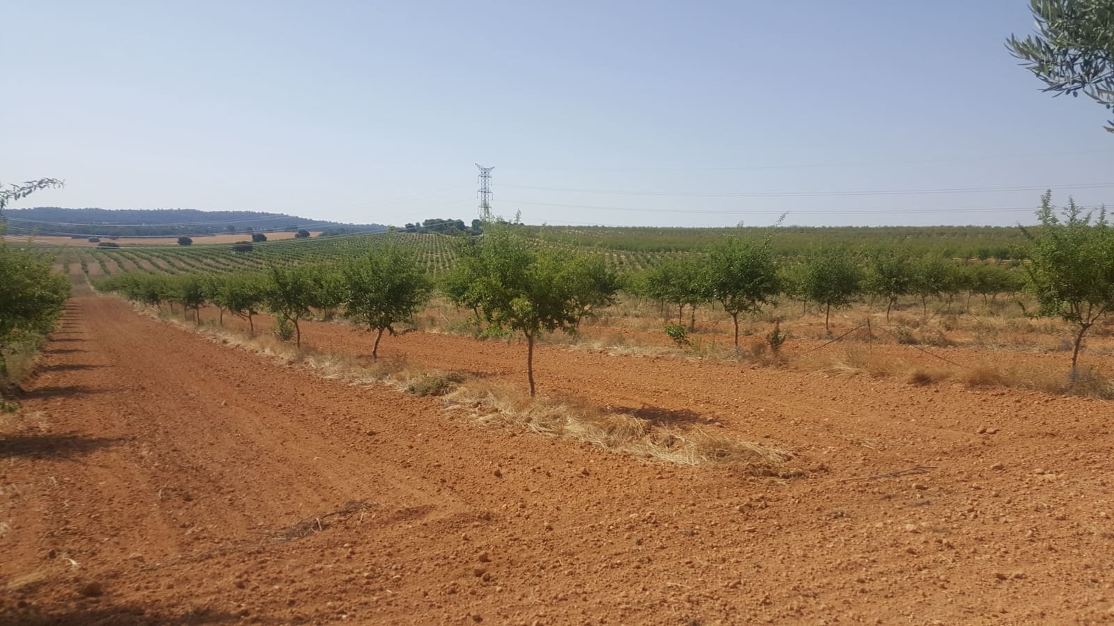 Finca/Landgut zu verkaufen in Pozo Canada - 11.000.000 € (Ref: 9494957)