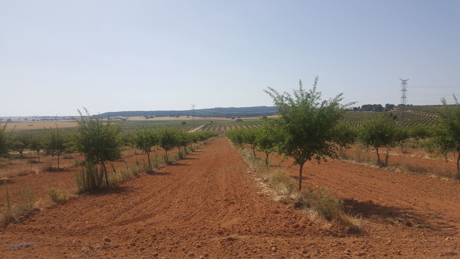 Finca/Landgut zu verkaufen in Pozo Canada - 11.000.000 € (Ref: 9494957)