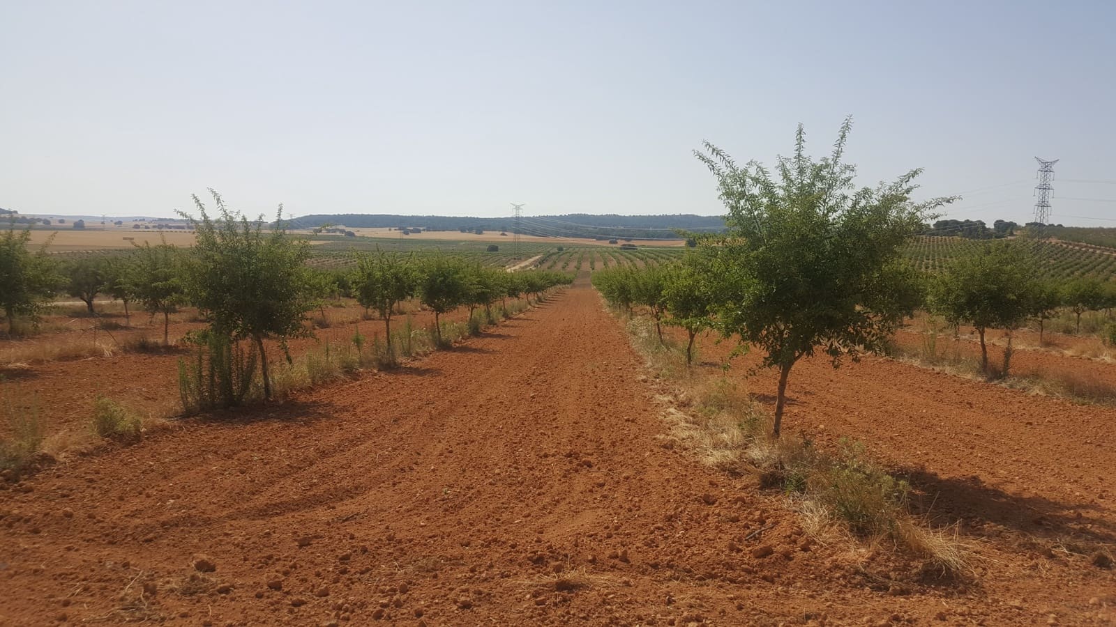 Finca/Landgut zu verkaufen in Pozo Canada - 11.000.000 € (Ref: 9494957)