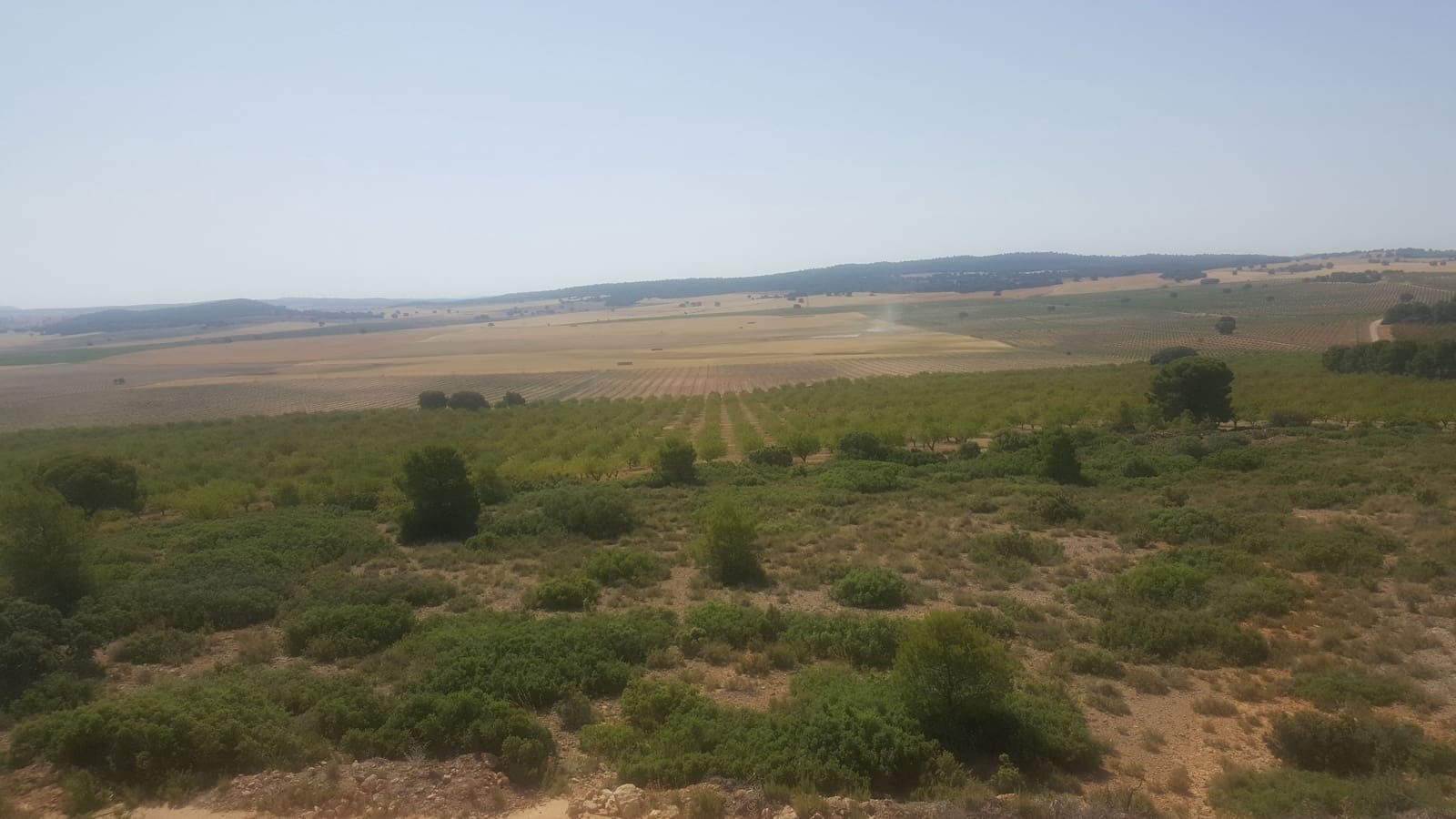 Finca/Landgut zu verkaufen in Pozo Canada - 11.000.000 € (Ref: 9494957)