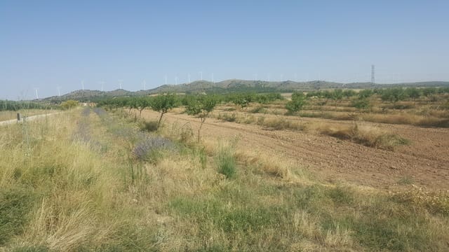 Finka/Dom wiejski na sprzedaż w Pozo Cañada - 11 000 000 € (Ref: 9494957)