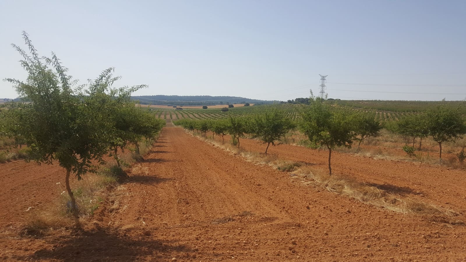 Finca/Landgut zu verkaufen in Pozo Canada - 11.000.000 € (Ref: 9494957)