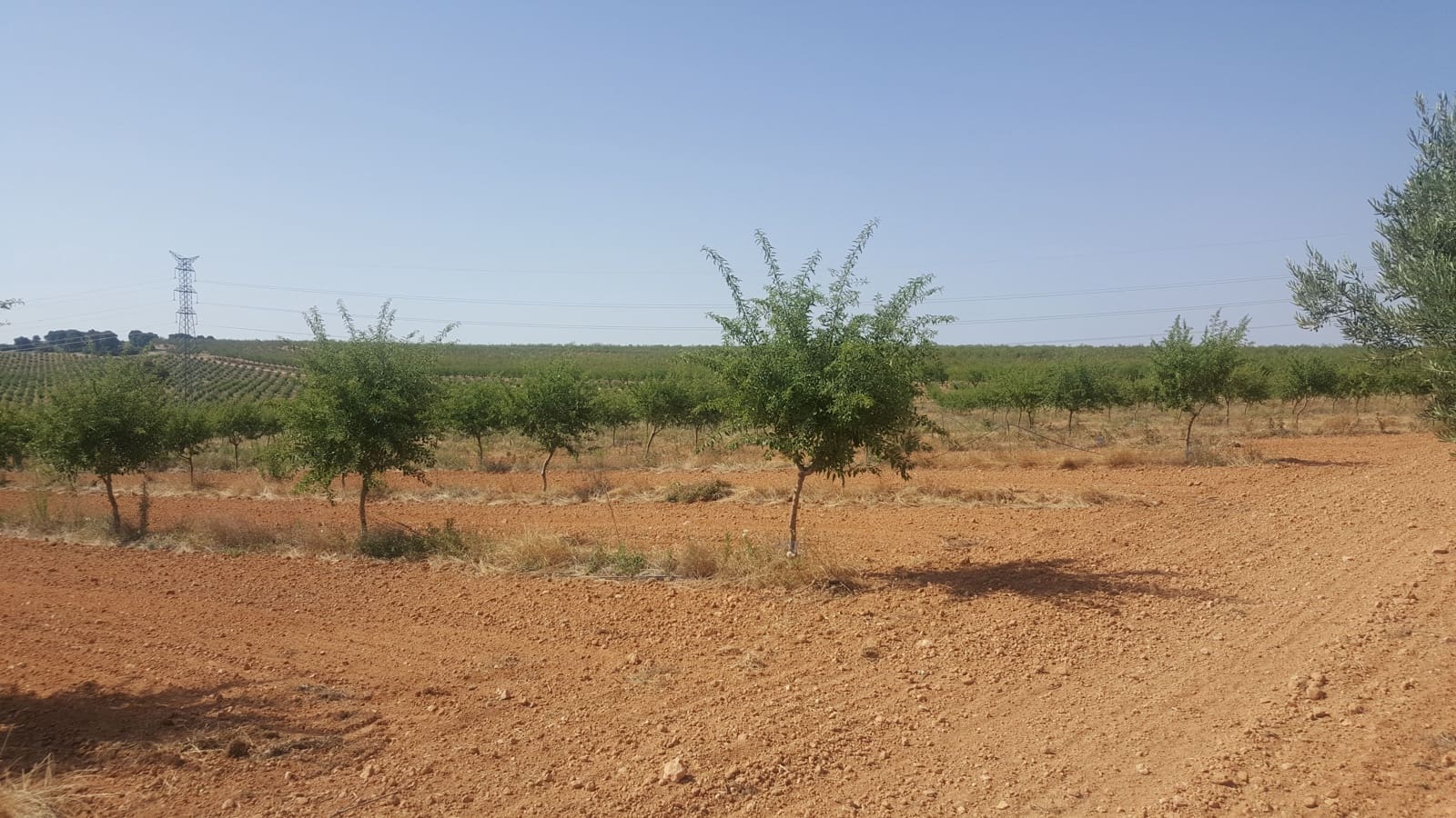 Finca/Landgut zu verkaufen in Pozo Canada - 11.000.000 € (Ref: 9494957)