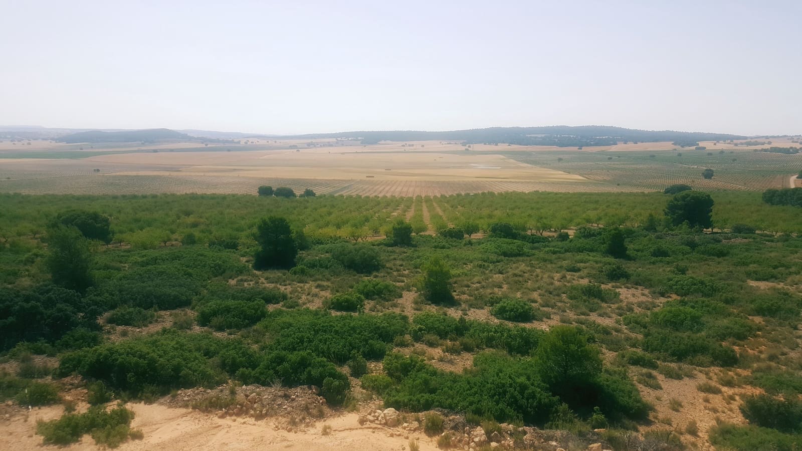 Finca/Landgut zu verkaufen in Pozo Canada - 11.000.000 € (Ref: 9494957)