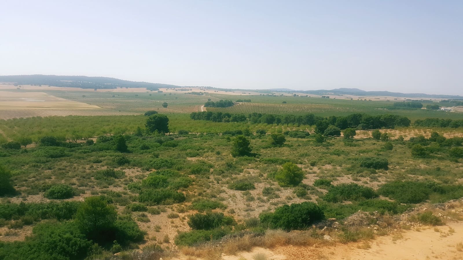 Finca/Landgut zu verkaufen in Pozo Canada - 11.000.000 € (Ref: 9494957)