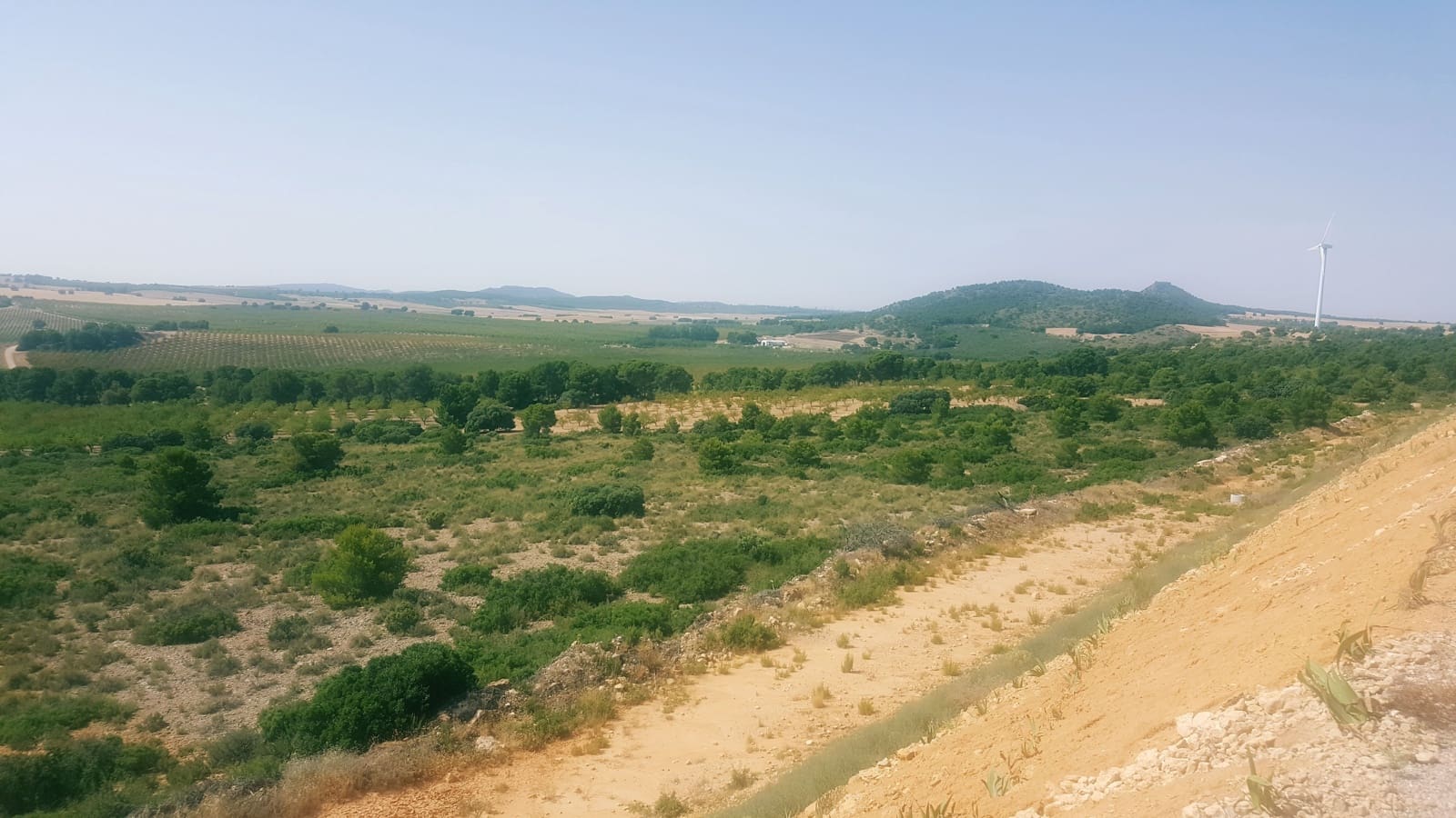 Finca/Landgut zu verkaufen in Pozo Canada - 11.000.000 € (Ref: 9494957)