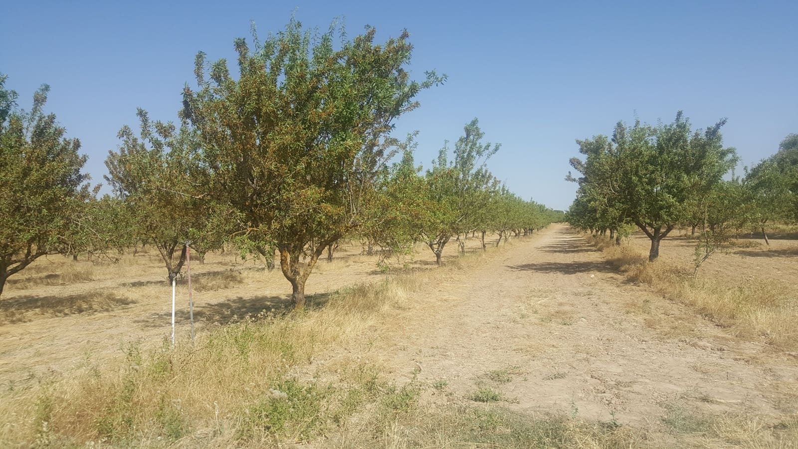 Finca/Landgut zu verkaufen in Pozo Canada - 11.000.000 € (Ref: 9494957)