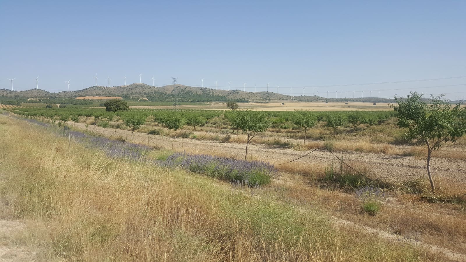 Finca/Landgut zu verkaufen in Pozo Canada - 11.000.000 € (Ref: 9494957)