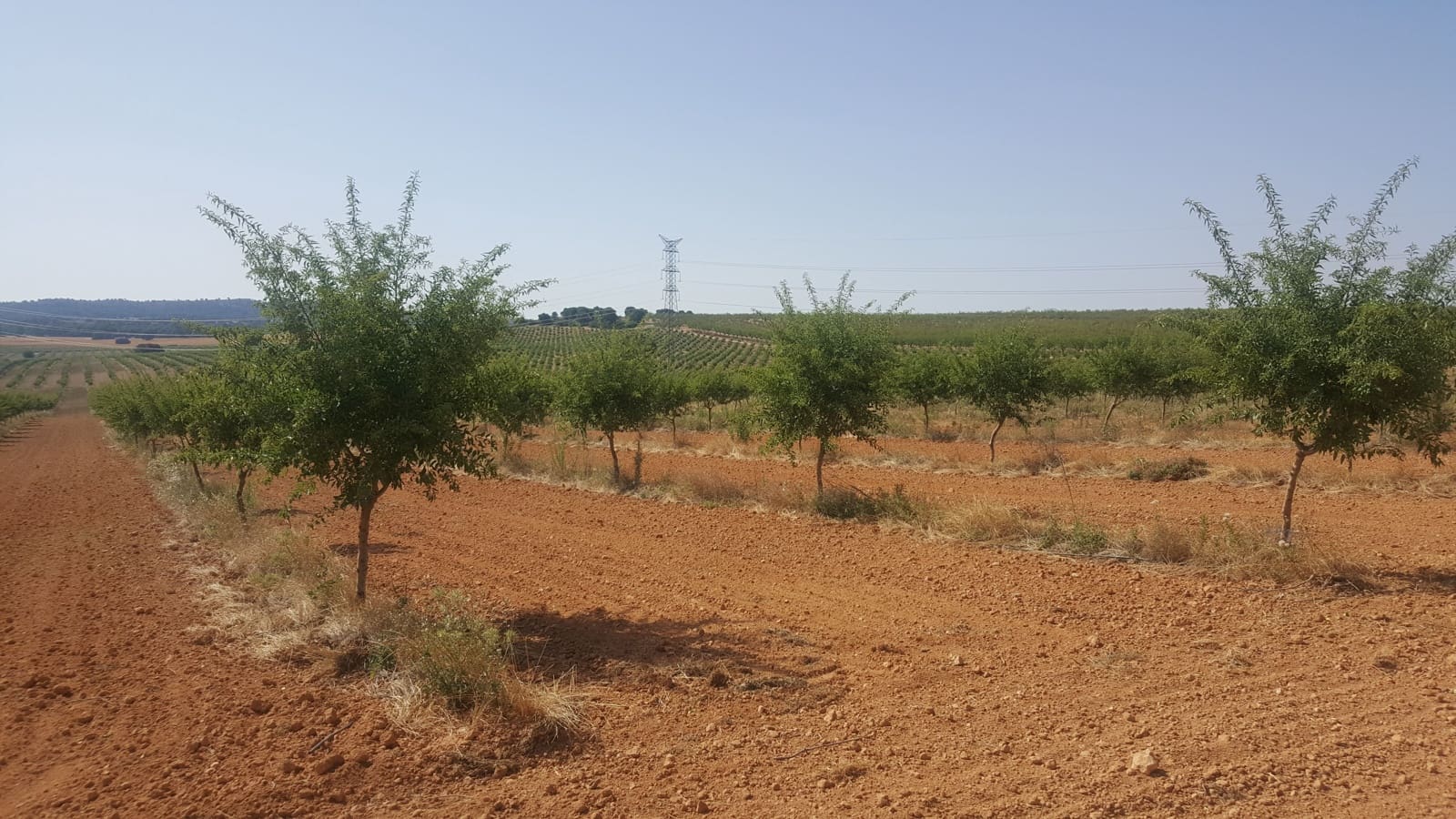 Finca/Landgut zu verkaufen in Pozo Canada - 11.000.000 € (Ref: 9494957)