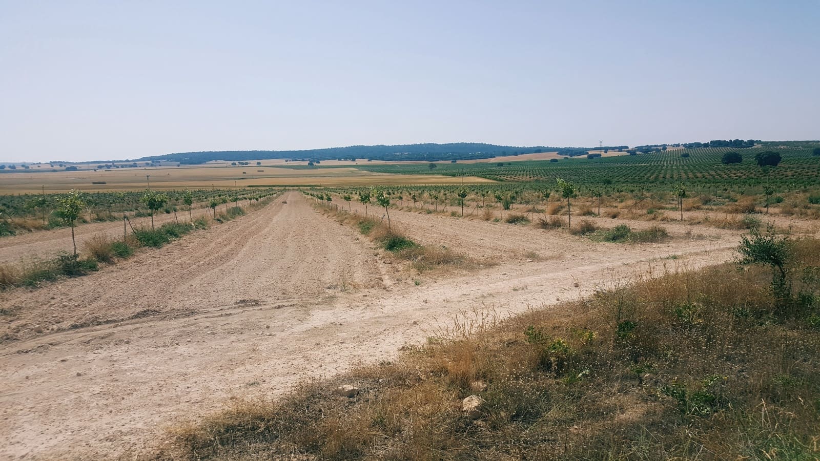 Finca/Landgut zu verkaufen in Pozo Canada - 11.000.000 € (Ref: 9494957)