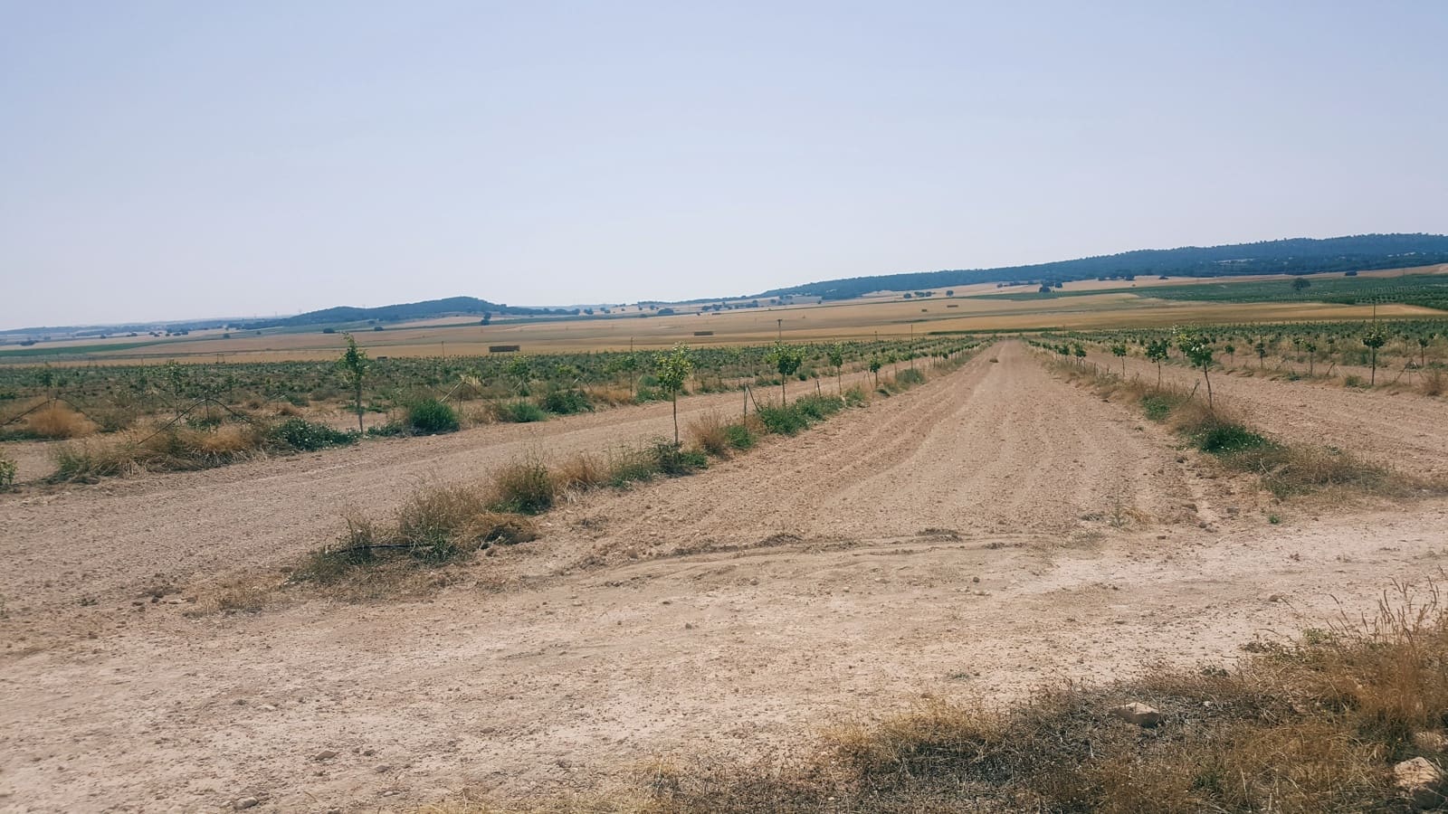 Finca/Landgut zu verkaufen in Pozo Canada - 11.000.000 € (Ref: 9494957)