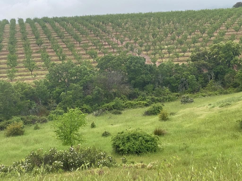 Finca/Landehus til salg i Toledo by - € 10.000.000 (Ref: 9494958)