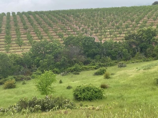 Finca/Landehus til salg i Toledo by - € 10.000.000 (Ref: 9494958)